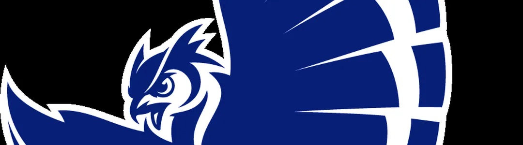 Rice Owls