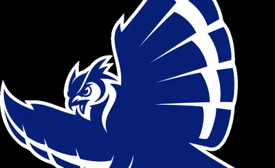 Rice Owls
