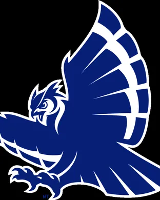 Rice Owls